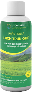 Phân trùn quế Eco 5