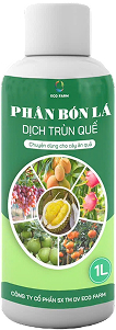Phân trùn quế Eco 6