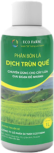 Phân trùn quế Eco 8