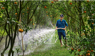 Ứng Dụng Công Nghệ Trong Sản Xuất Phân Bón